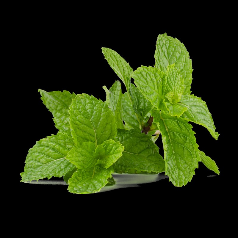 Mint